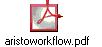 aristoworkflow.pdf